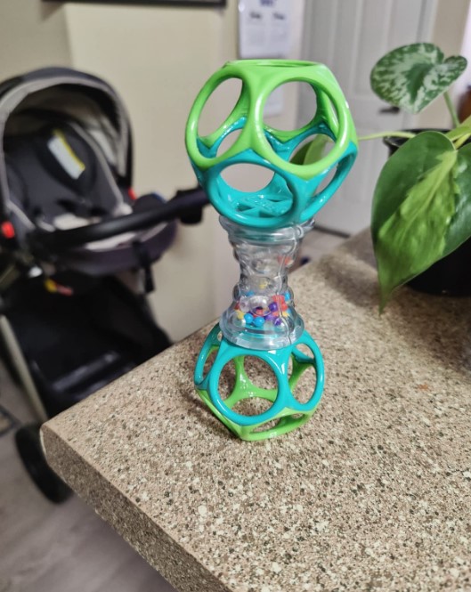 Oball Shaker Rattle Toy